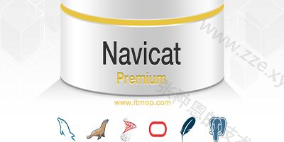 查看 navicat 已保存连接的密码